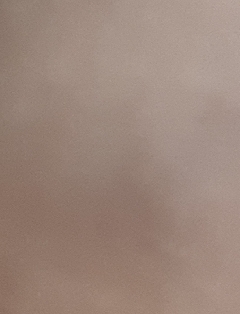 20190319