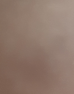 20190325