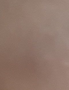 20190327