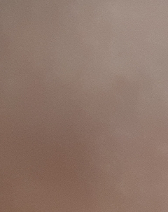 20190329