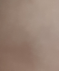 20190401