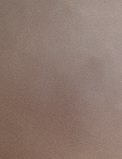 20190403