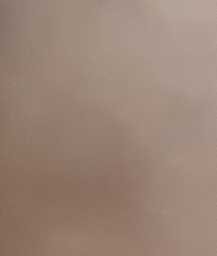 20190404
