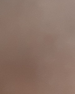 20190405