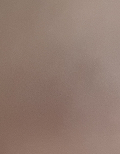 20190406