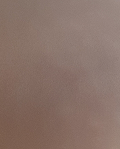 20190407