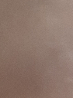 20190408