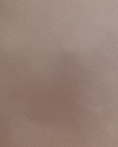 20190409