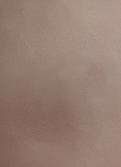 20190411
