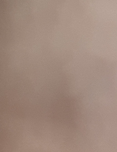 20190413