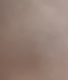 20190416