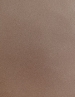 20190419