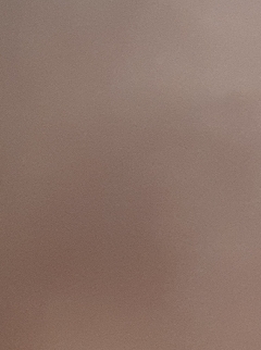 20190420