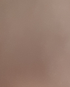 20190421