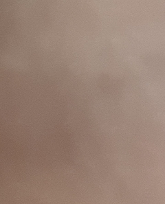 20190422