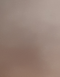 20190423