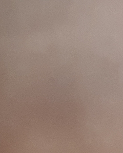 20190424