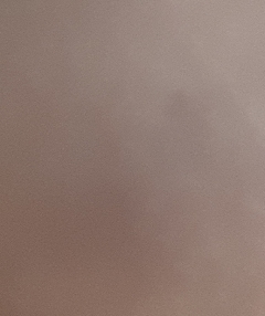 20190426