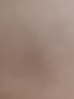 20190427