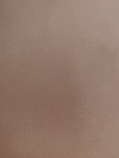 20190429