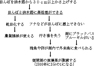 琵琶湖の問題構造