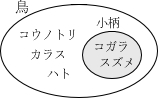 鳥の種類