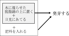 ¥¤¥ó¥²¥ó¥Þ¥á¤Îȯ²ê¼Â¸³