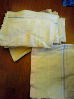 201003301035000.jpg