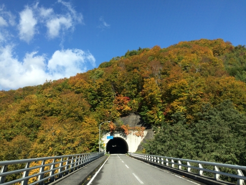 紅葉 みなかみ
