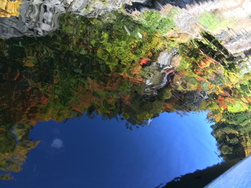 紅葉 カヌー