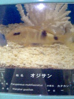20060103_80115.jpg