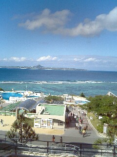 20060104_80835.jpg