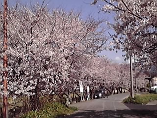 12-04-06_004.jpg