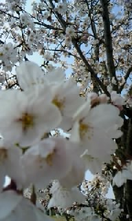 120408_1449~010001.jpg