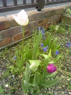 120410_0901~01.jpg