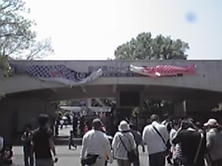 12-05-06_001.jpg