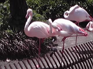 12-05-06_004.jpg