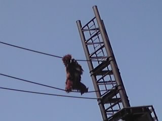 12-05-06_010.jpg
