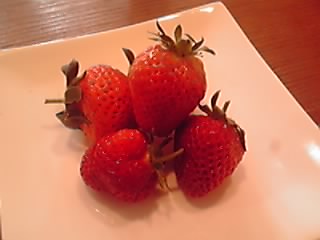12-05-12_004.jpg