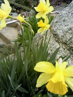 130317_1417~02.jpg