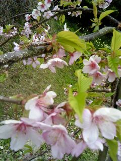 130317_1415~01.jpg