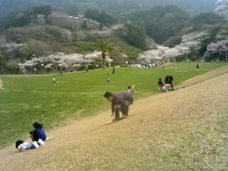 130324_1445~010001.jpg
