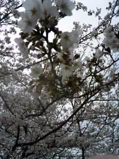 130324_1348~01.jpg
