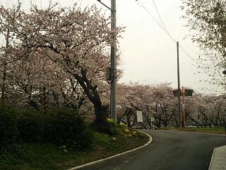 20130329_211048.jpg