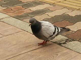 20130331_190409.jpg