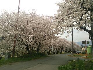 20130331_190433.jpg