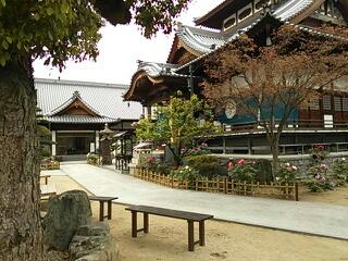 20130420_165821.jpg