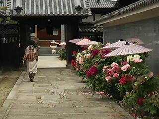 20130420_165842.jpg