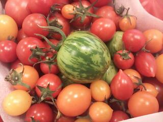 20130512_225330.jpg