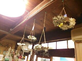 20130703_105503.jpg